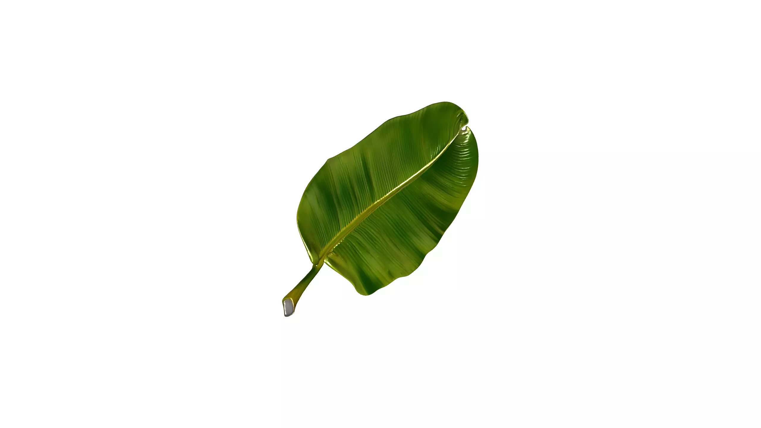 Banana Leaf 3D Model Low-poly 3D model_1