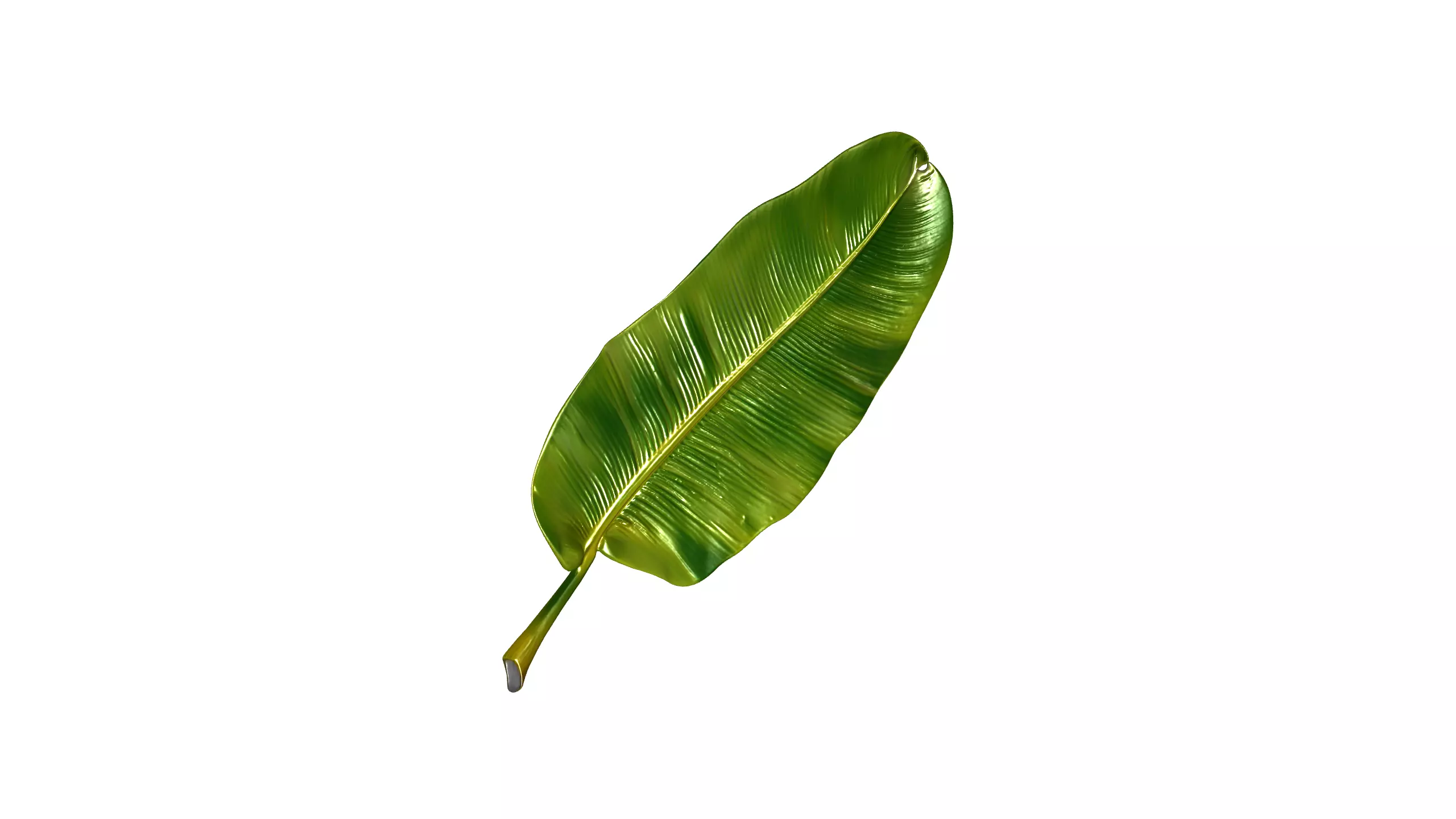 Banana Leaf 3D Model Low-poly 3D model_4