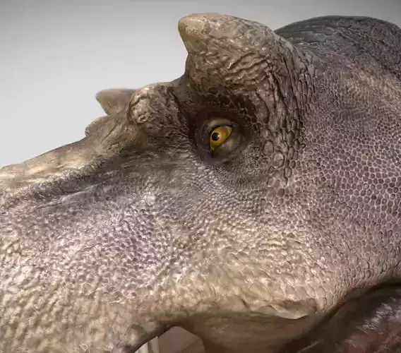 Tyrannosaurus rex Scotty Elder