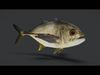 Giant Trevally Fish Animated 3D model_1