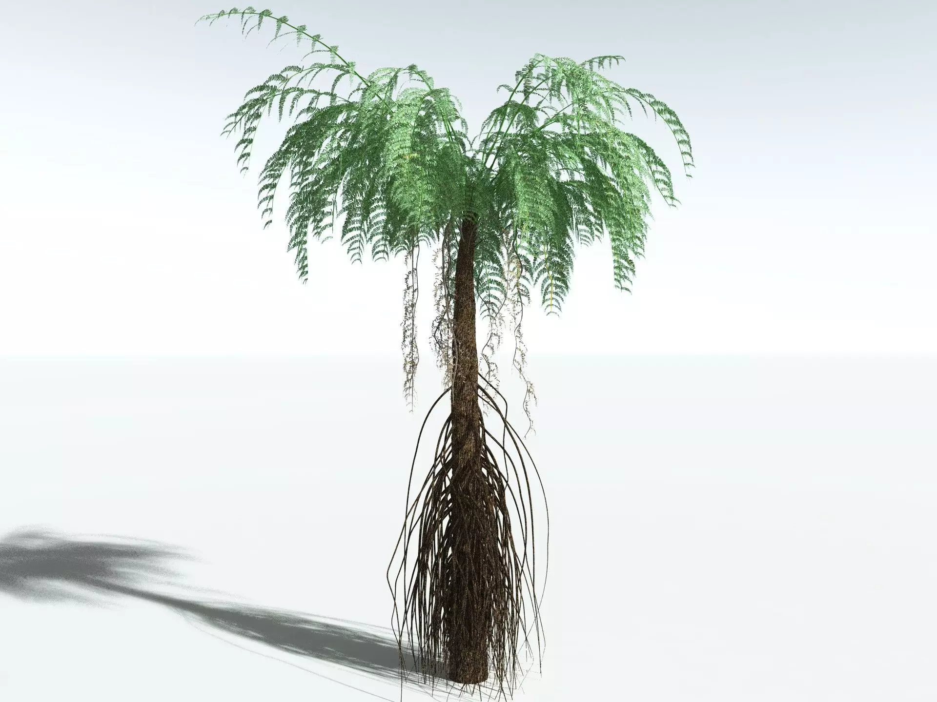 EVERYPlant Psaronius Simples 3D model_2