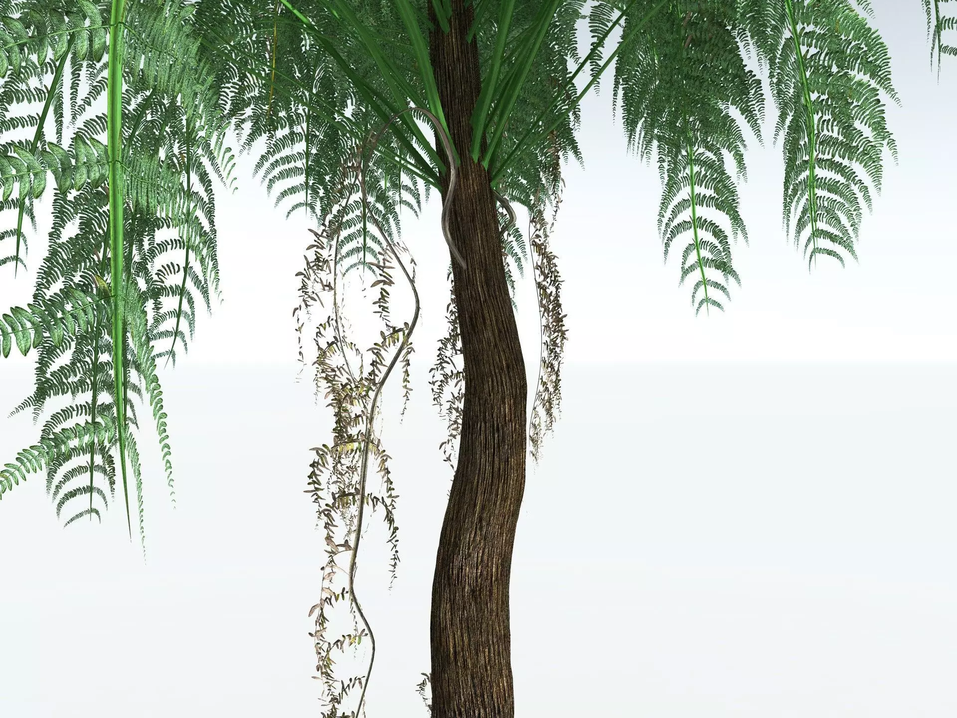 EVERYPlant Psaronius Simples 3D model_5