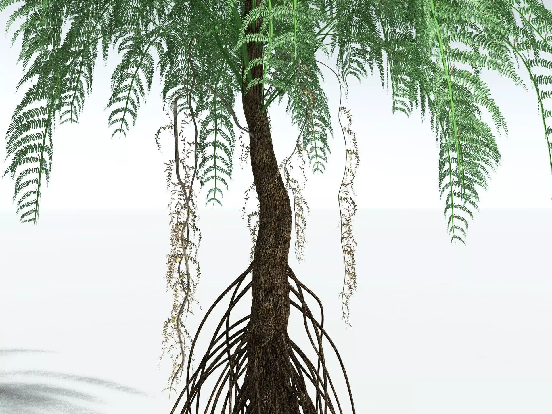 EVERYPlant Psaronius Simples 3D model_11