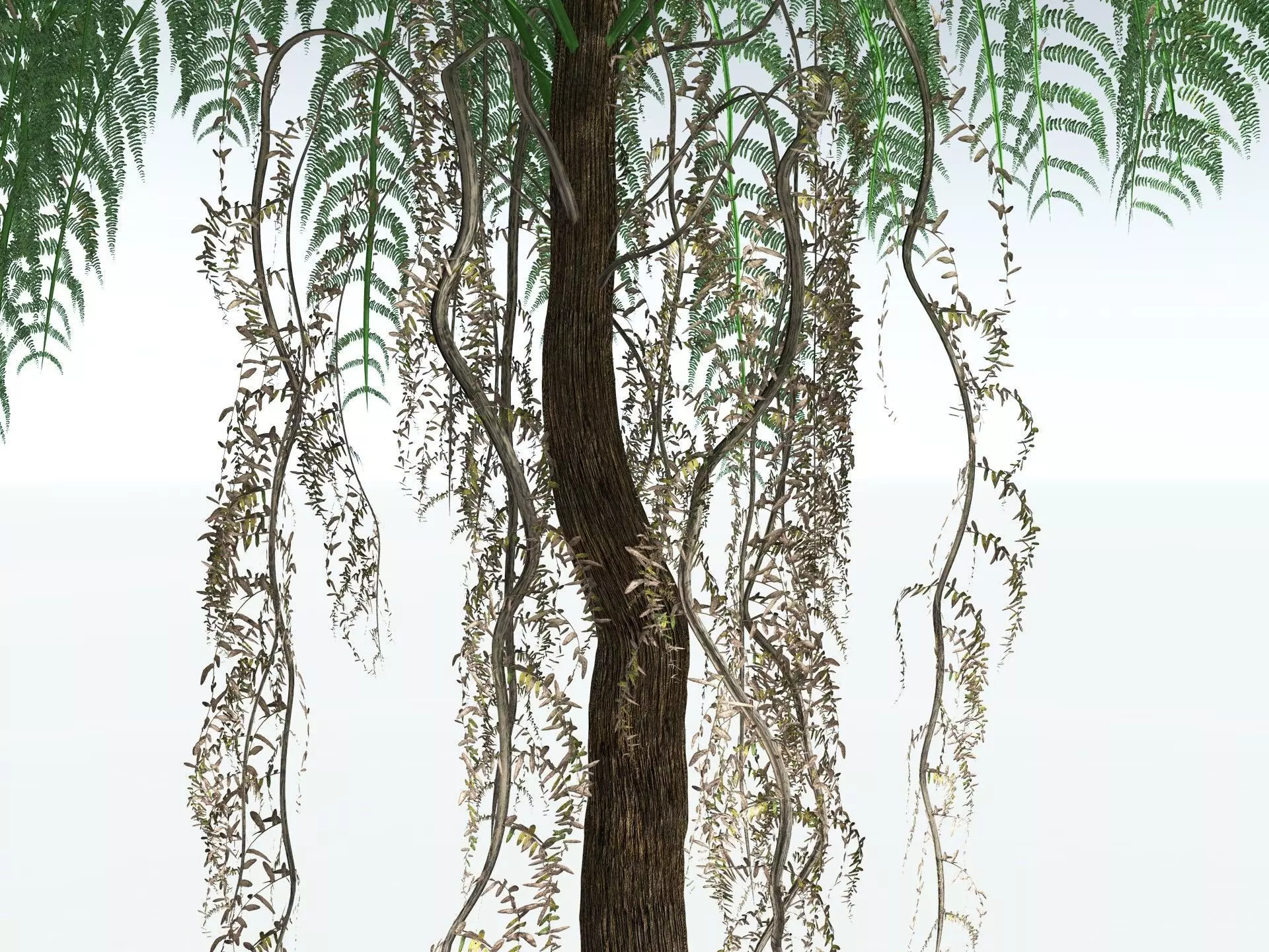 EVERYPlant Psaronius Simples 3D model_21