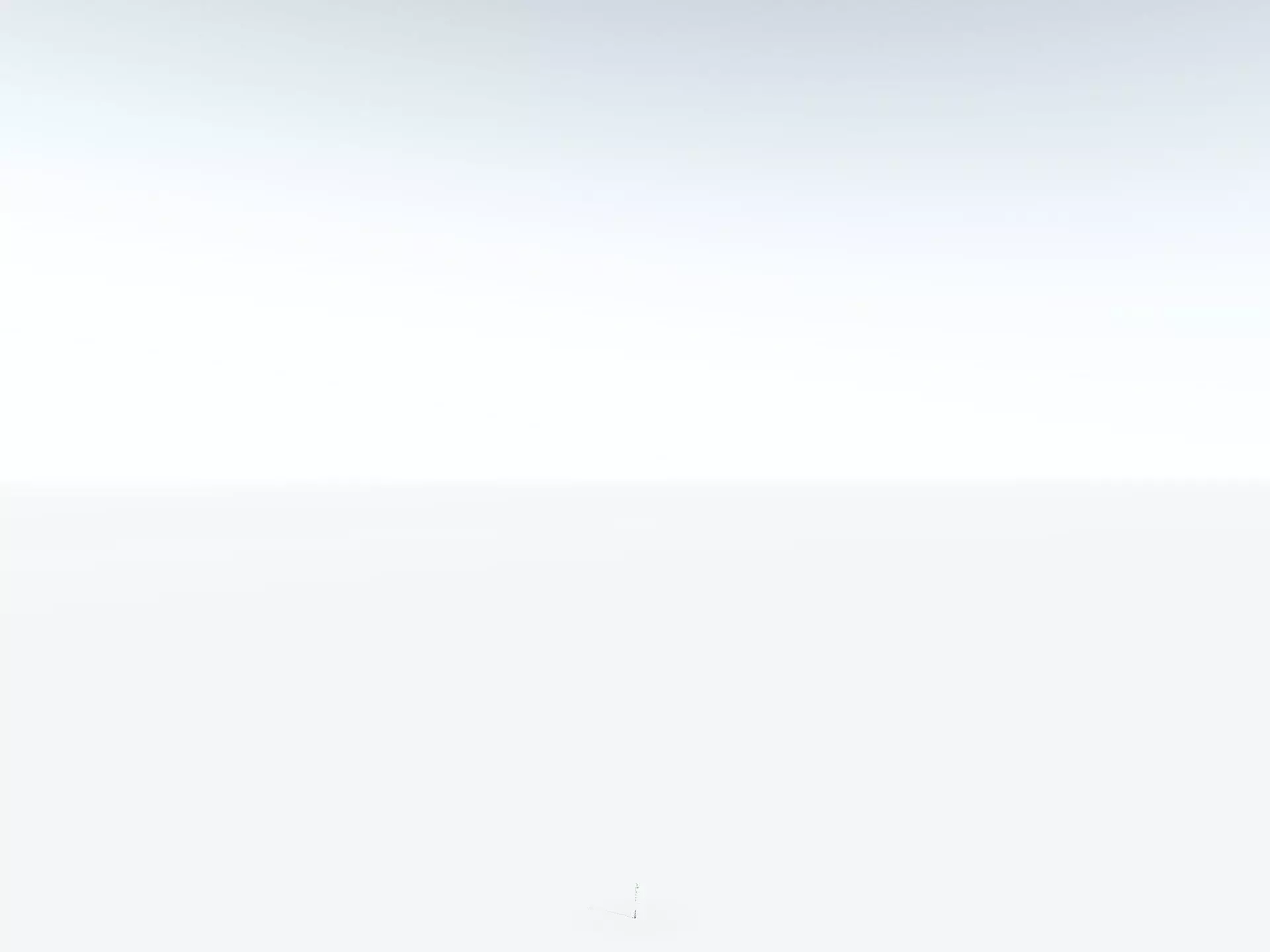 EVERYPlant Psaronius Simples 3D model_30