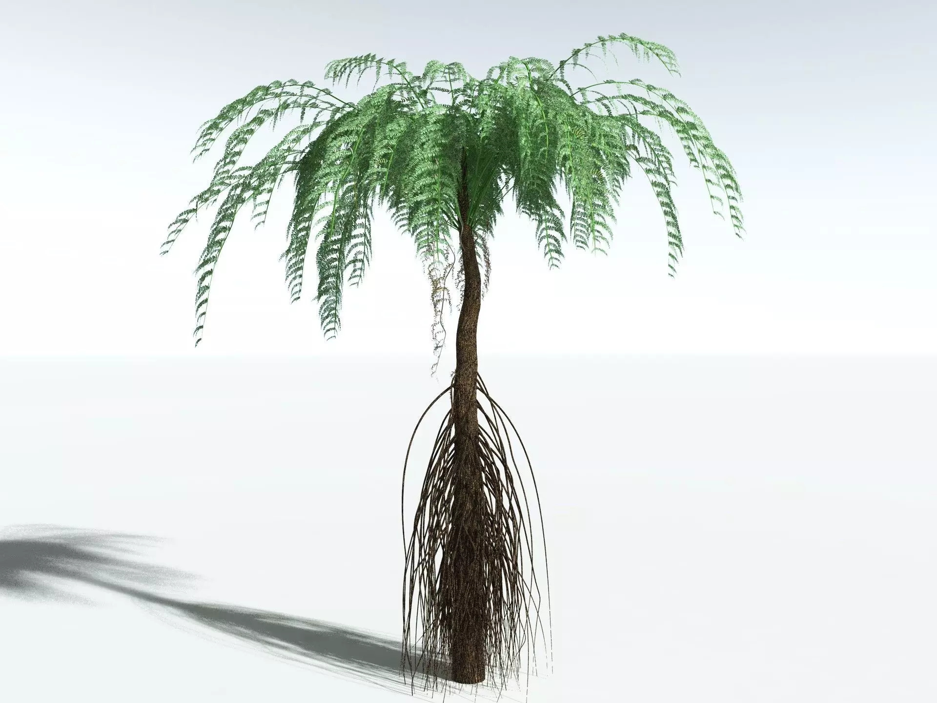 EVERYPlant Psaronius Simples 3D model_4