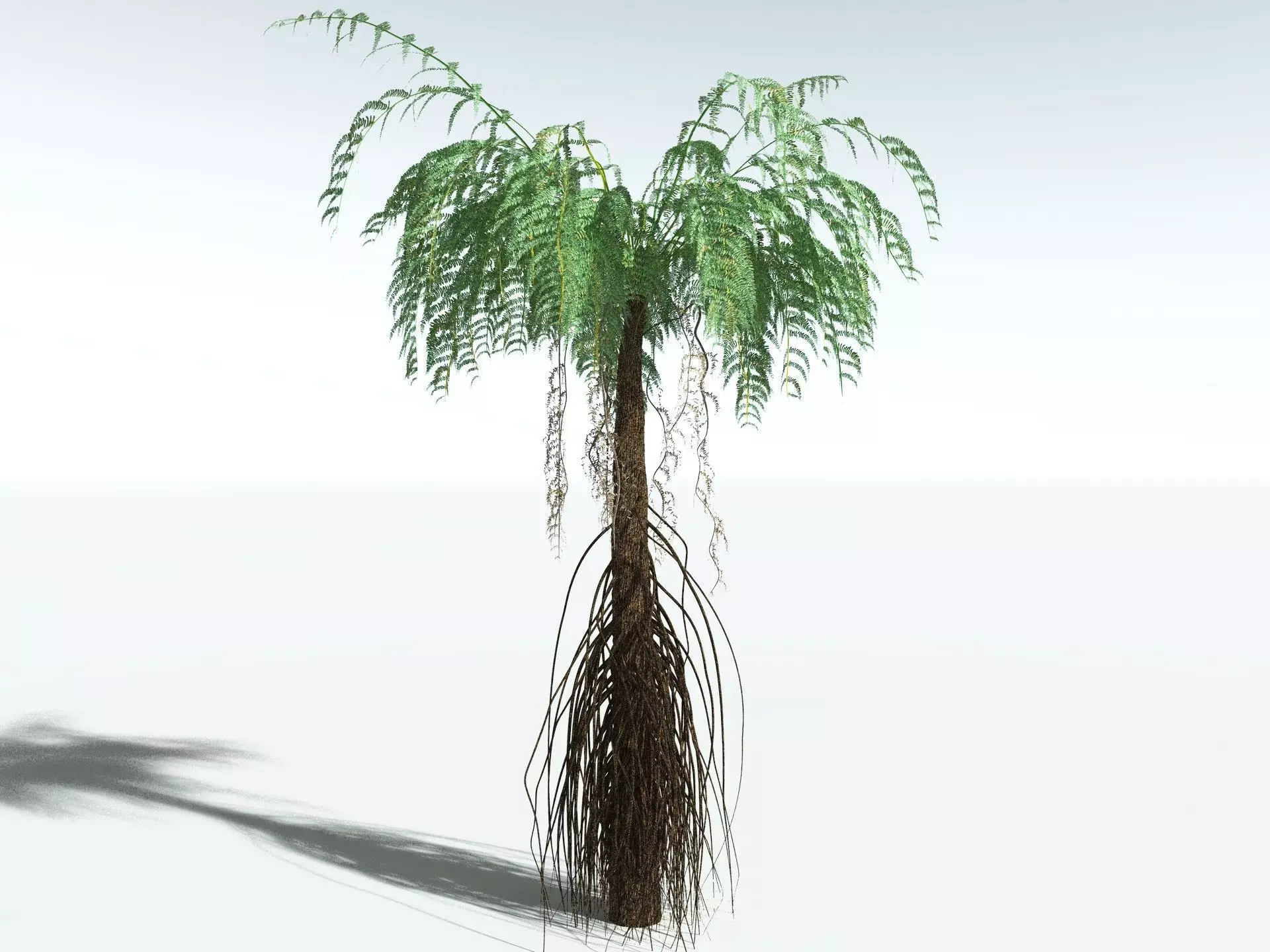 EVERYPlant Psaronius Simples 3D model_12