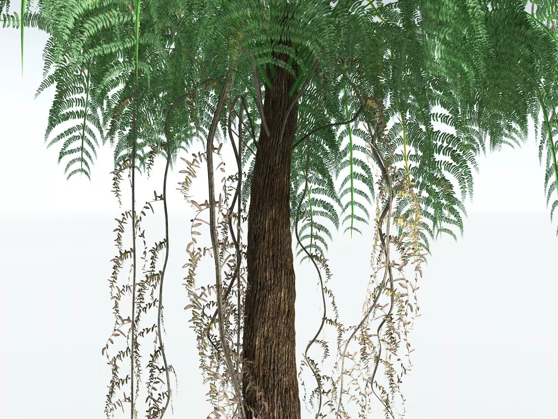 EVERYPlant Psaronius Simples 3D model_3