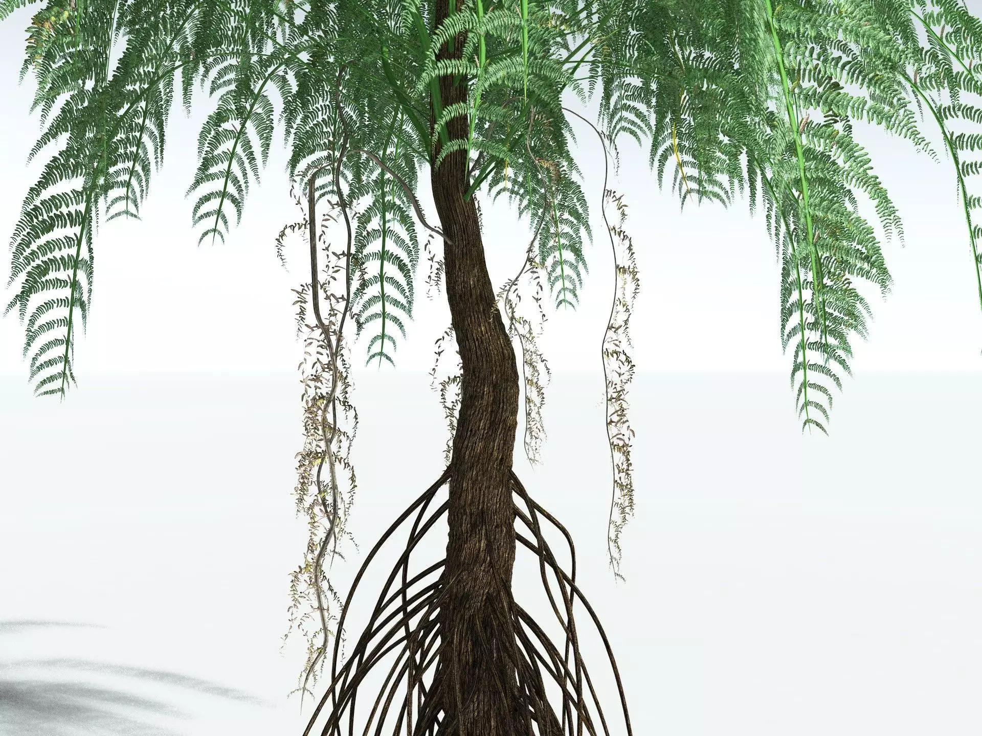 EVERYPlant Psaronius Simples 3D model_1