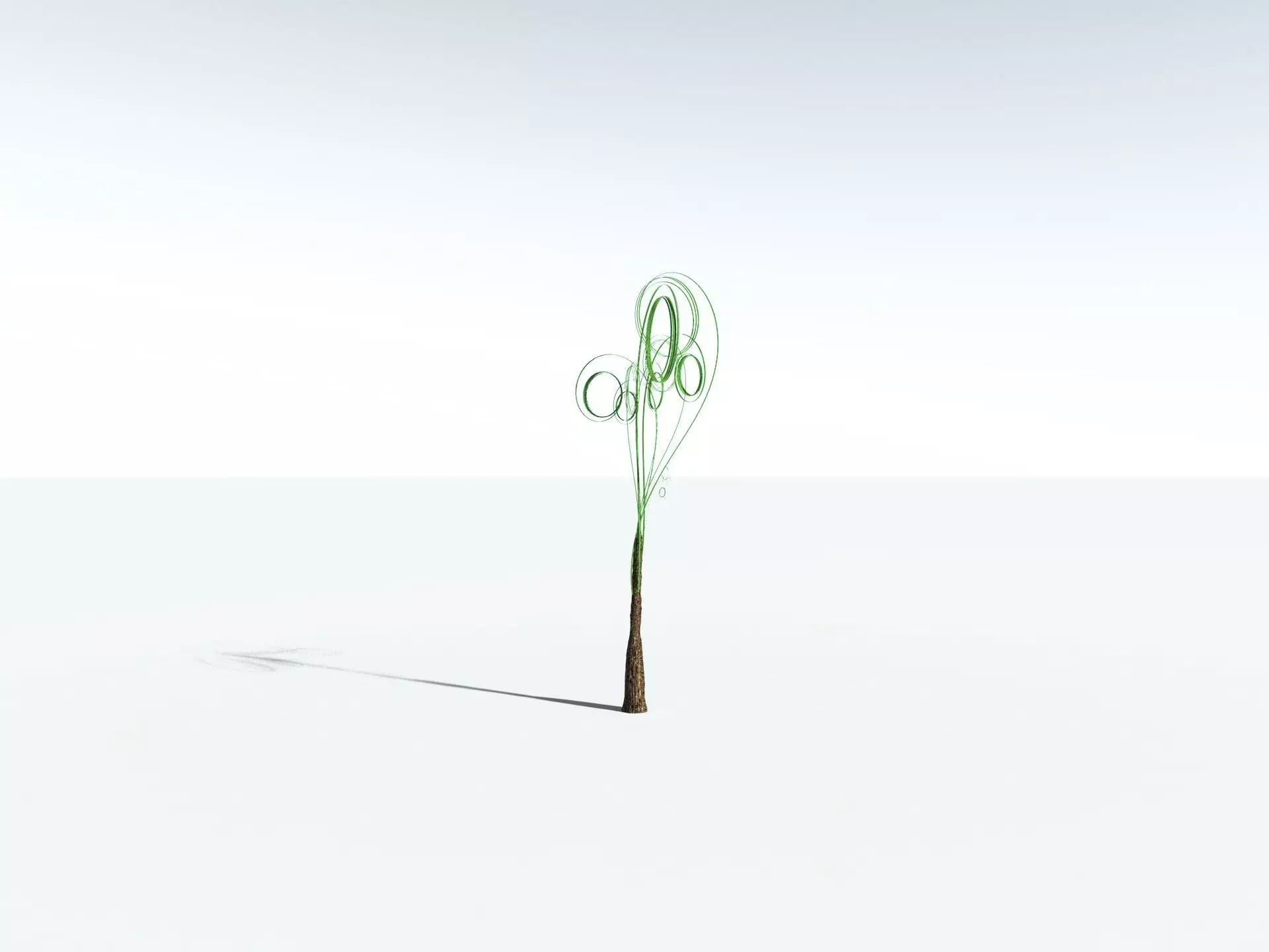 EVERYPlant Psaronius Simples 3D model_29