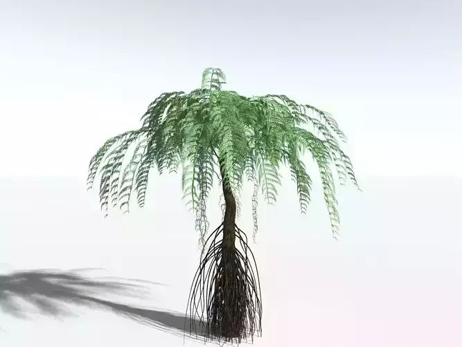 EVERYPlant Psaronius Simples -16 Models- 3D model