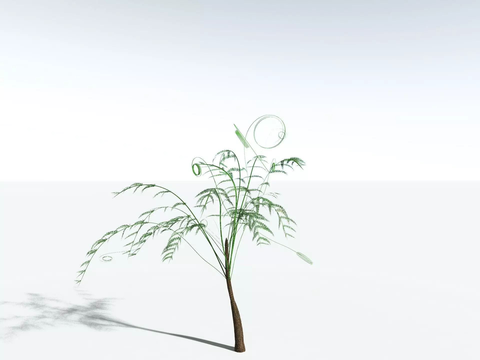 EVERYPlant Psaronius Simples 3D model_27
