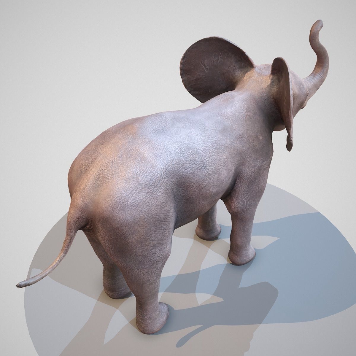 Rigged Baby Elephant Low-poly 3D model_4