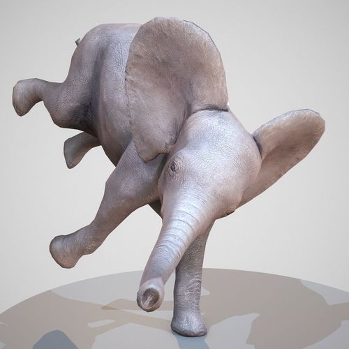 Rigged Baby Elephant Low-poly 3D model