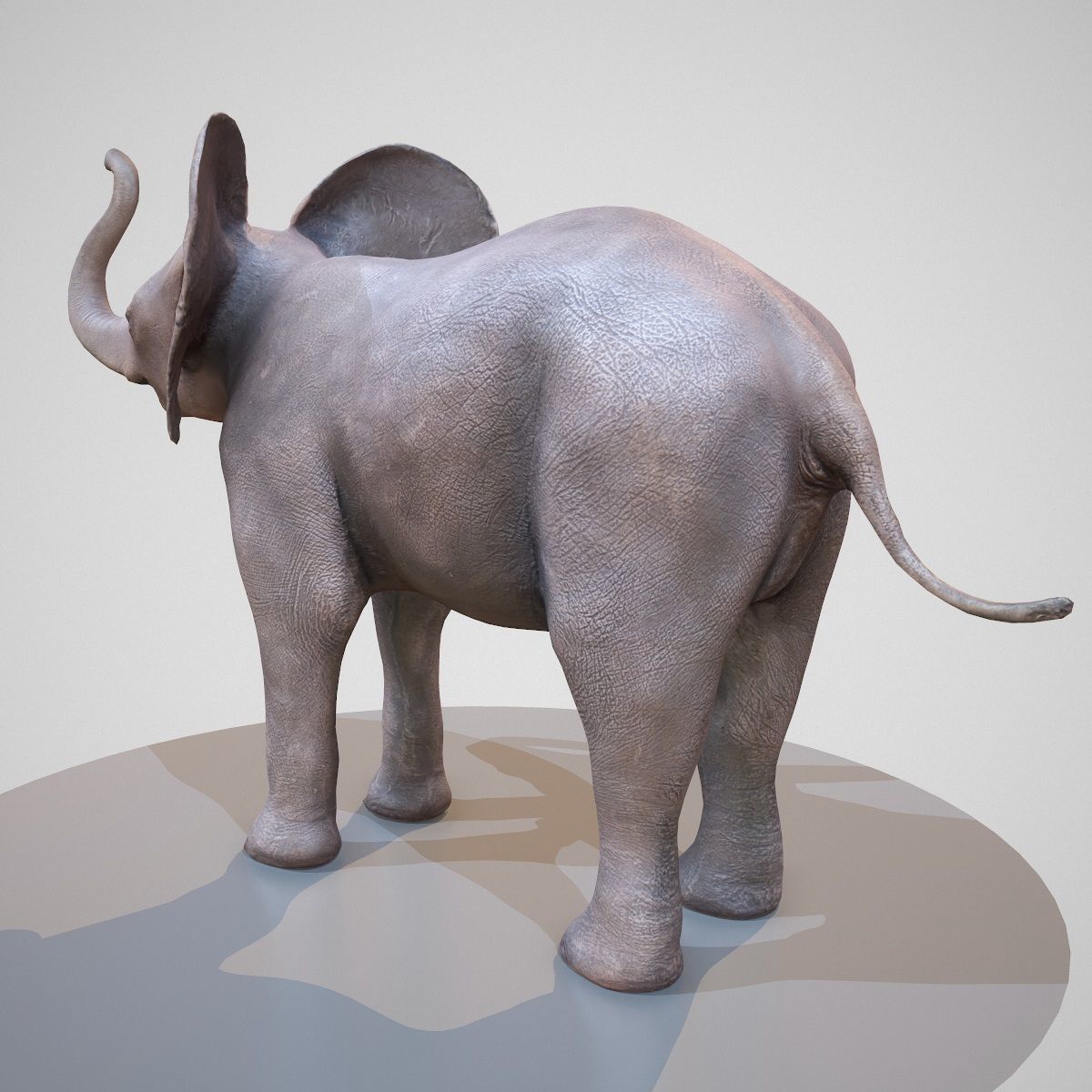 Rigged Baby Elephant Low-poly 3D model_5