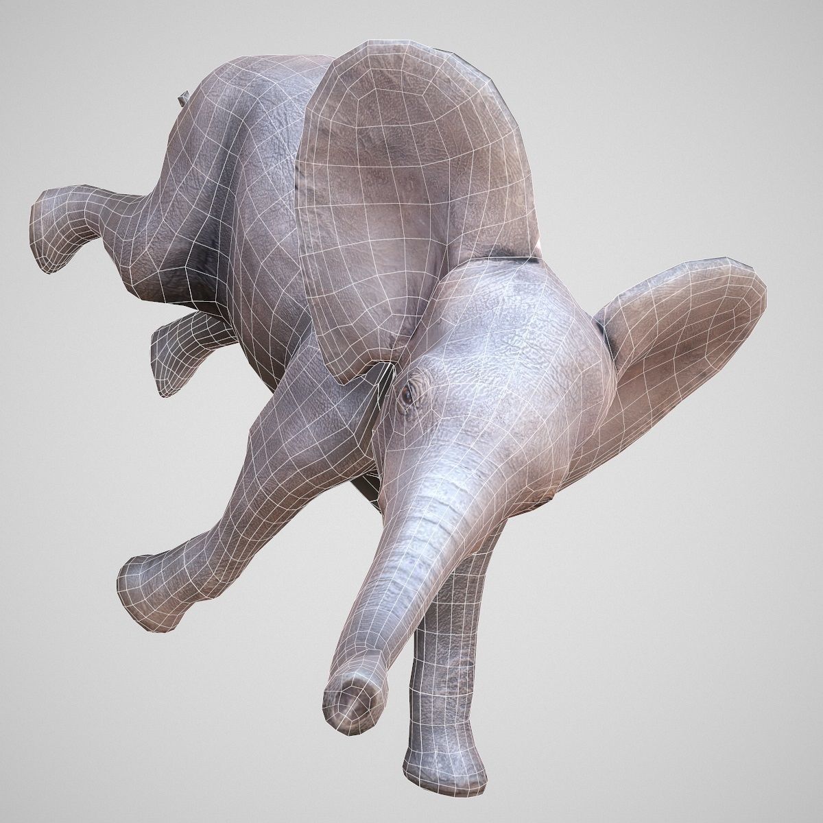 Rigged Baby Elephant Low-poly 3D model_6