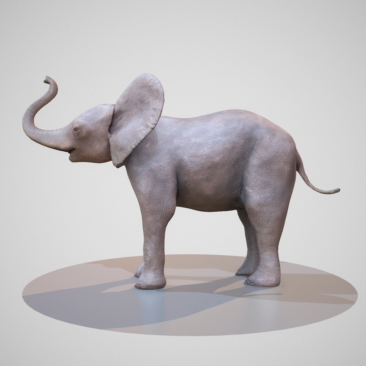 Rigged Baby Elephant Low-poly 3D model_3