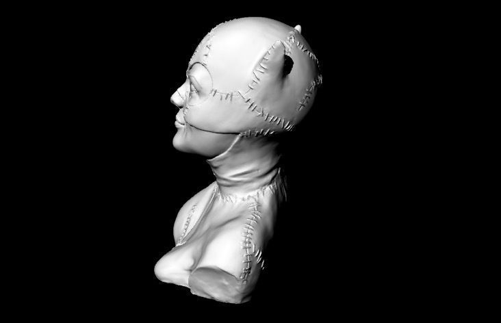 Catwoman Buste 3D print model_6