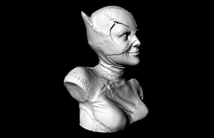 Catwoman Buste 3D print model_8
