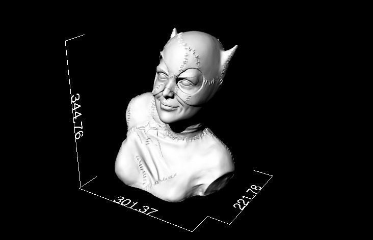 Catwoman Buste 3D print model_1