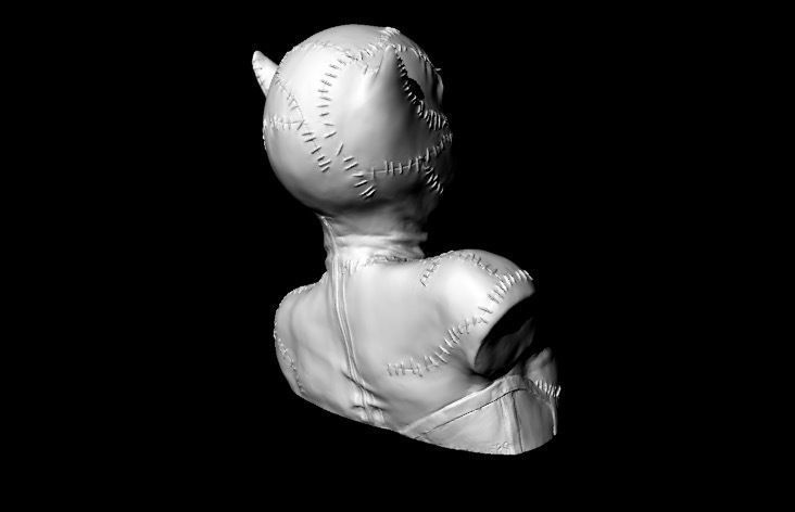 Catwoman Buste 3D print model_4