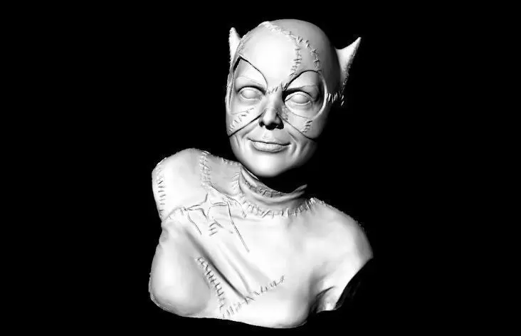 Catwoman Buste 3D print model_0