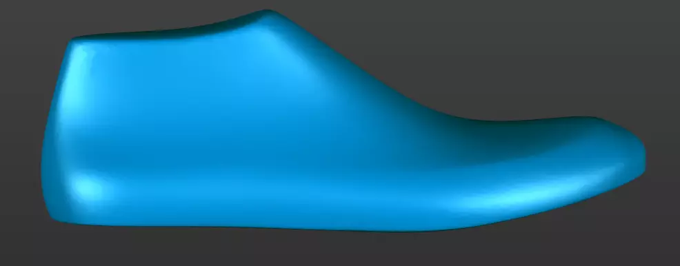 shoe last 3D printable 3D print model_0