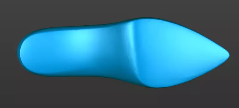 Shoe last 3D printable 3D print model_4