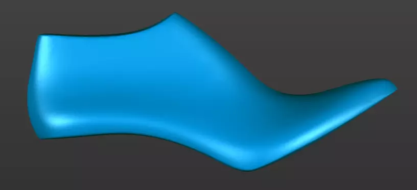 Shoe last 3D printable 3D print model_0
