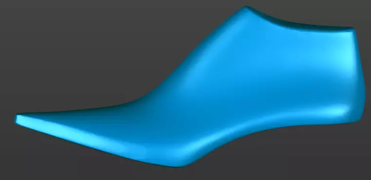 Shoe last 3D printable 3D print model_2