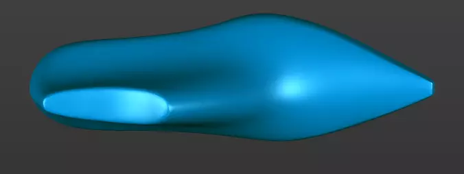 Shoe last 3D printable 3D print model_1