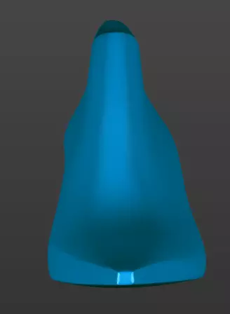 Shoe last 3D printable 3D print model_3