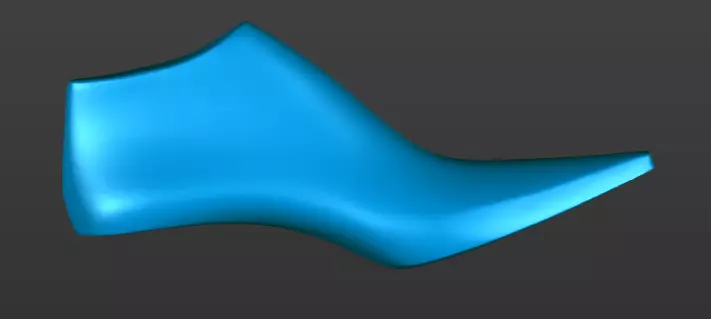 Shoe last 3D printable 3D print model_0