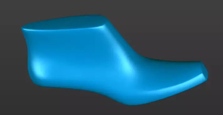 Shoe last 3D printable 3D print model_0