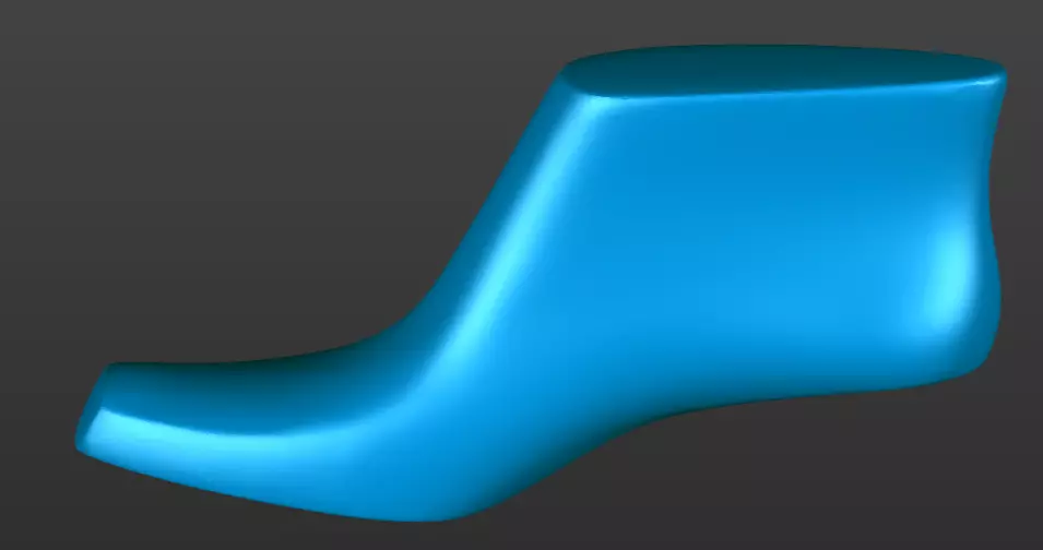 Shoe last 3D printable 3D print model_4