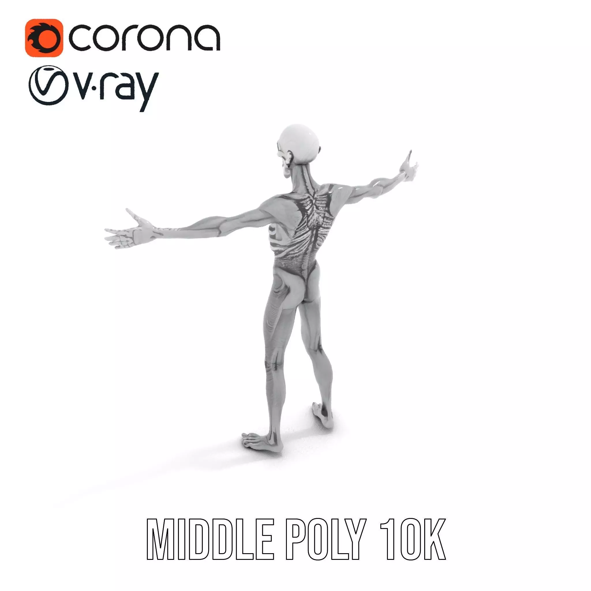 Alien Skeleton Model Pack with Luminous Eyes Low-poly 3D model_13