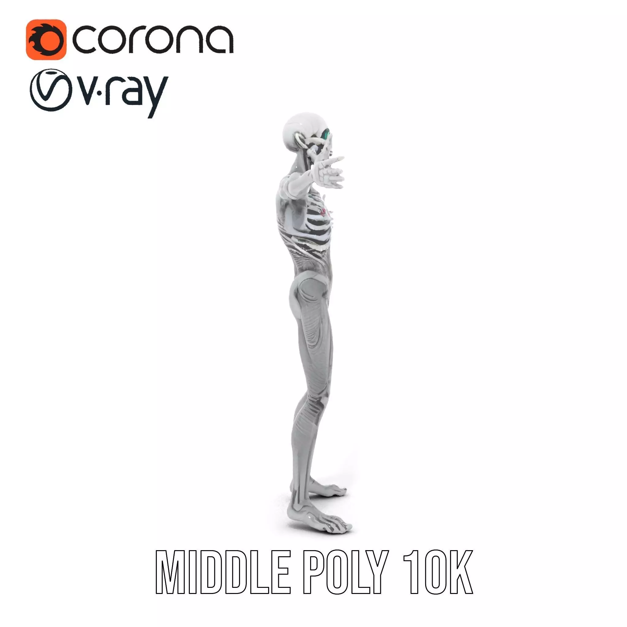 Alien Skeleton Model Pack with Luminous Eyes Low-poly 3D model_29