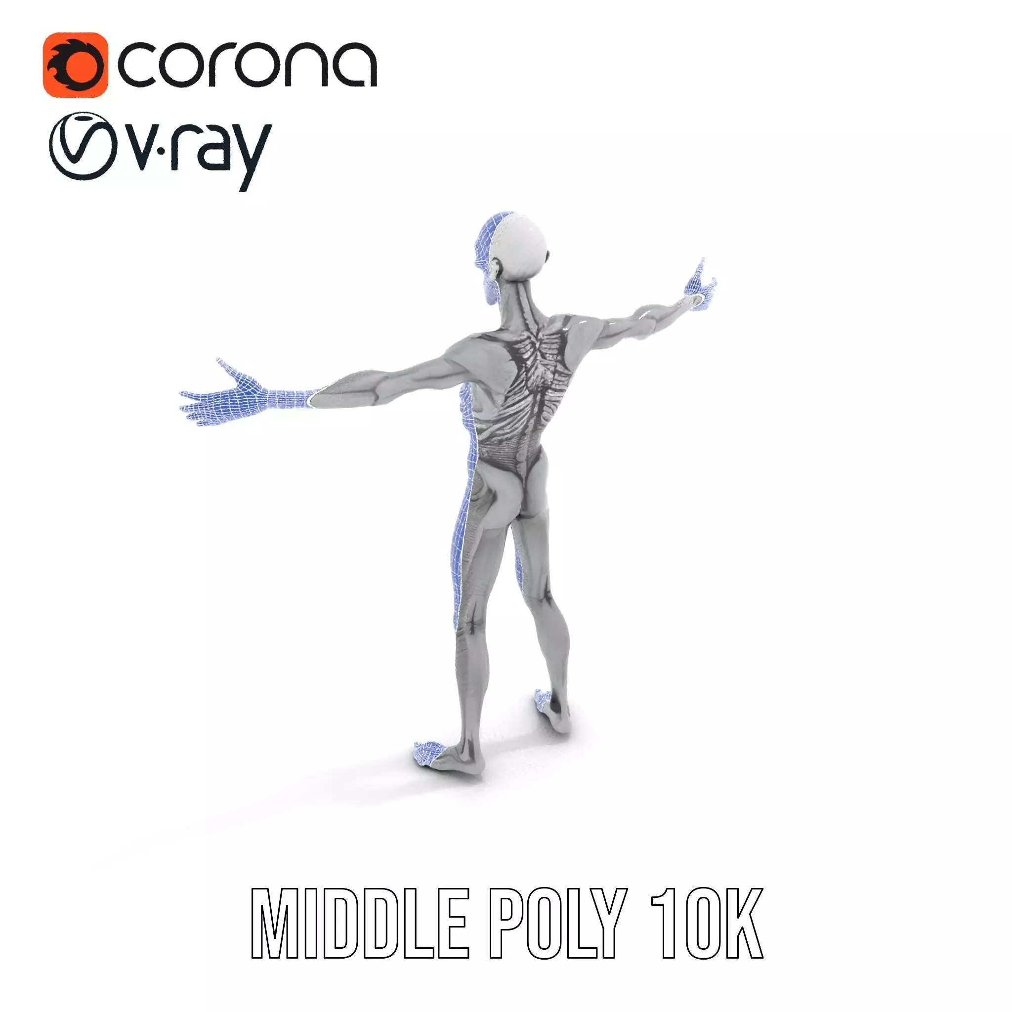 Alien Skeleton Model Pack with Luminous Eyes Low-poly 3D model_6