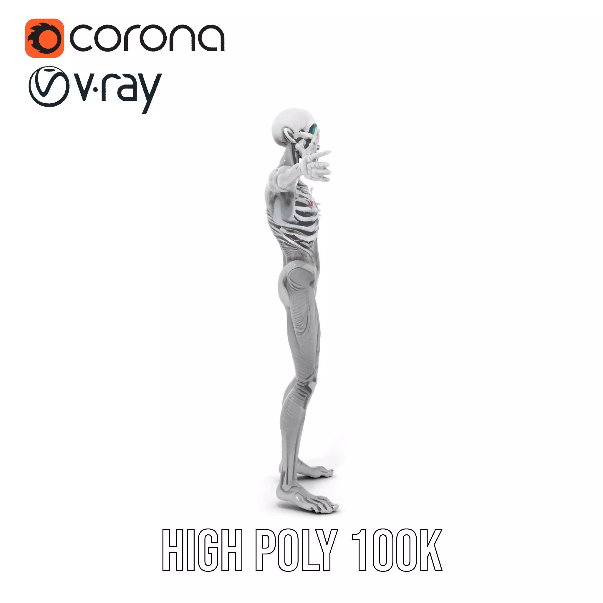 Alien Skeleton Model Pack with Luminous Eyes Low-poly 3D model_22