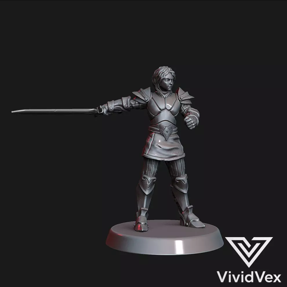 Female Paladin B 2 weapons 3D print model_1