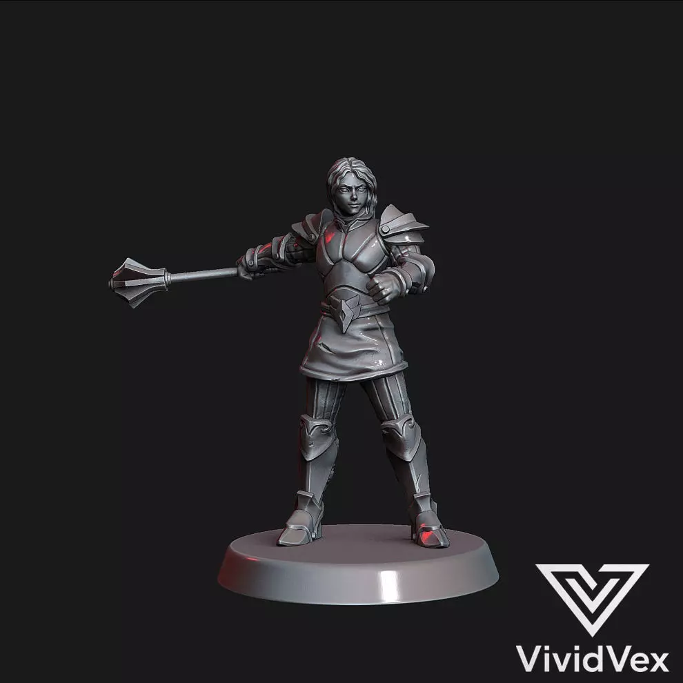 Female Paladin B 2 weapons 3D print model_0