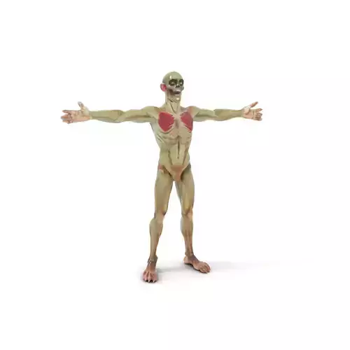 Zombie Creature Model Pack with Detailed Anatomy