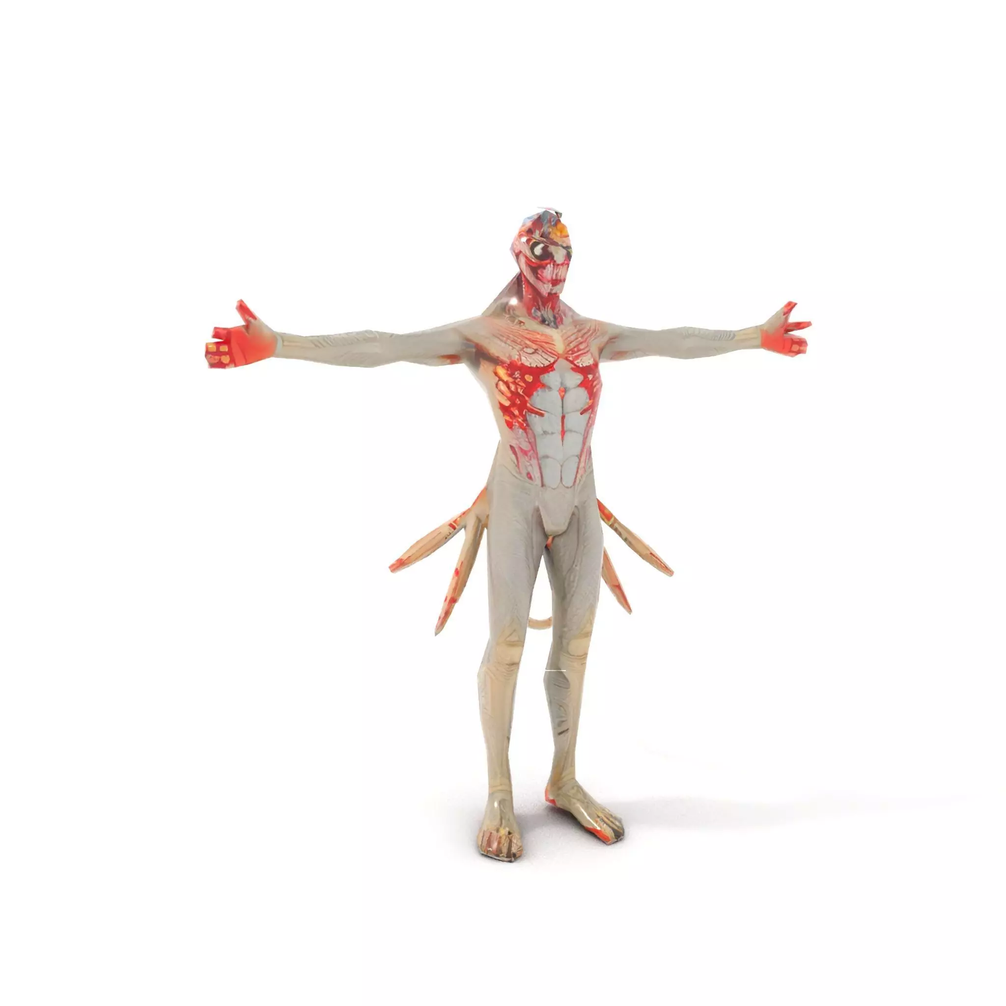 Fantasy Creature Model Pack with Feathered Details Low-poly 3D model_11