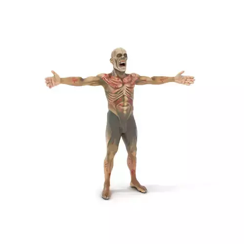 Zombie Creature Model Pack with Textures Low-poly 3D model