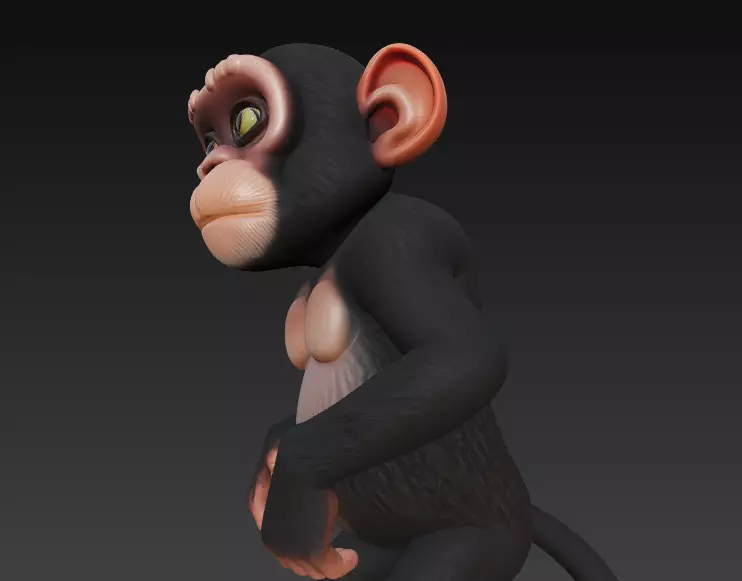 Monkey Full Body - Stylized 3D Character 3D print model_4
