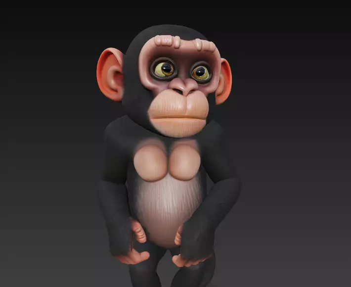 Monkey Full Body - Stylized 3D Character 3D print model_5
