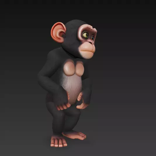 Monkey Full Body - Stylized 3D Character 3D print model_2