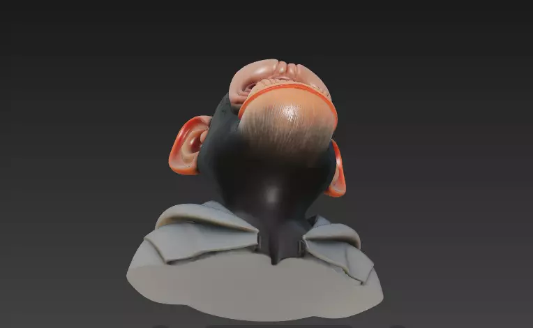 Stylized Monkey Head Bust - Cartoon Character 3D 3D print model_7