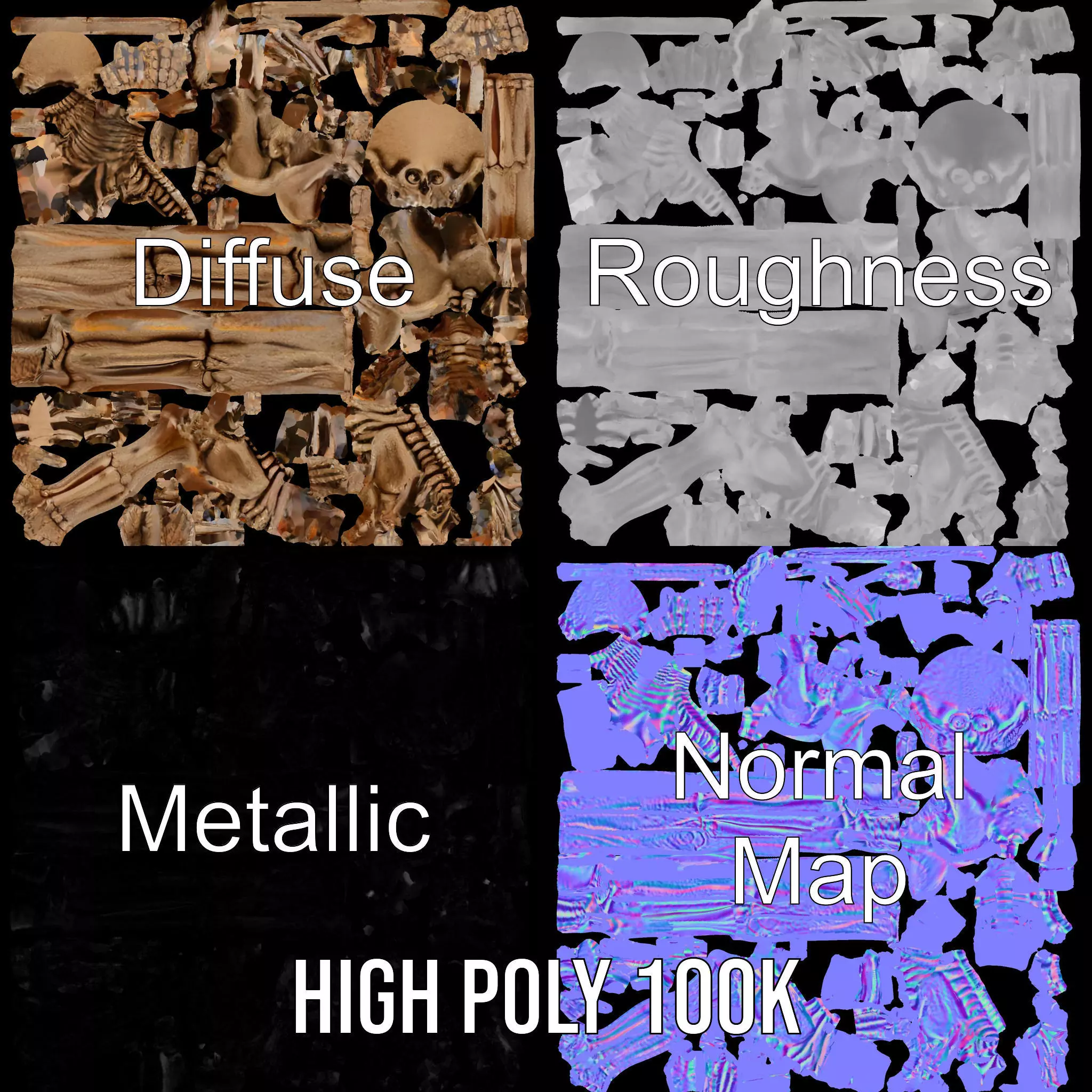 Human Skeleton Anatomy Model Pack Low-poly 3D model_4