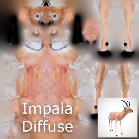 Impala Rigged Low-poly 3D model_7